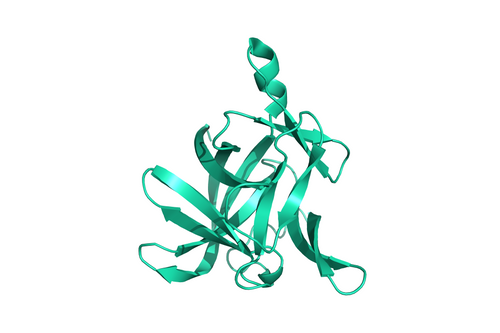 human Interleukin-1 beta tag-free structural model 