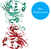 blueTEV protease structural model 3D graphic