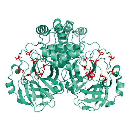 Structural model of 3CL-Mpro Protein, unmodified