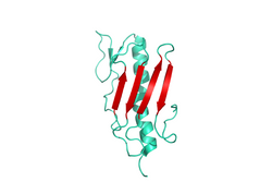 P2020-143 Fimbrial Protein (pilA) His-tag strain PAKstructur model 3D graphic