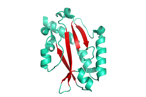 P2020-145 Fimbrial Protein (pilA) His-tag strain Pa110594 structur model 3D graphic